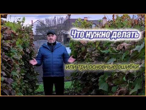 Видео: Почему Виноград зимой может погибнуть.