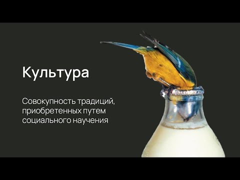 Видео: Биология культуры