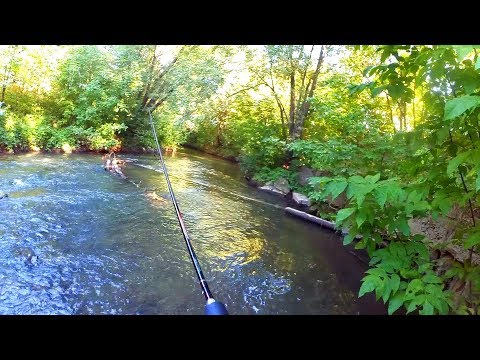 Видео: Ультралайт и все-все-все! Ловля ельца ,голавля, плотвы и прочих на микро-речке!