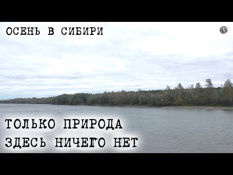 Видео: Прогулка по осенней Сибири Здесь ничего нет Только природа 15 сент 2024 ЧМ
