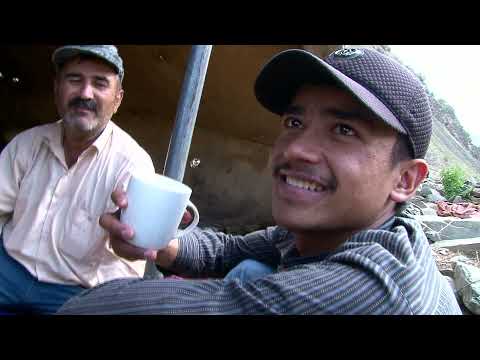 Видео: сайри куххои Вешист кисми 2. дар кух клубнихо ва айронро бинеда