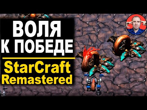 Видео: 🔥 Зерги: Поглощение Всего - StarCraft Brood War - Remastered