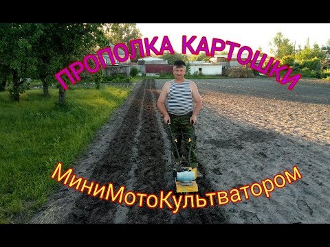 Видео: Прополка Картошки МиниМотоКультиватором CHAMPION GC 252