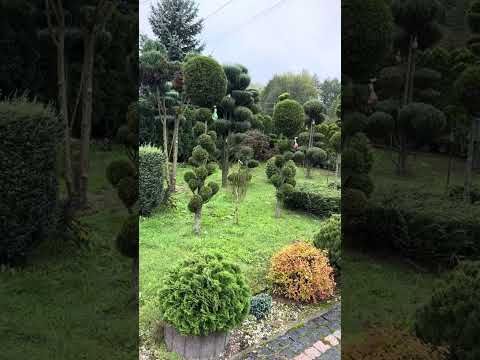 Видео: 11 жовтня 2025 р.