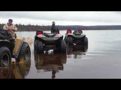 Видео: RDC MAX,#кольскийполуостров #охота #рыбалка #болотоход #вездеходы #сокол #дозер #атлет #азимут #rdc