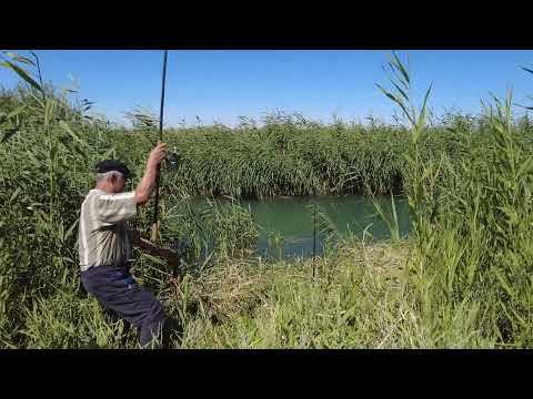 Видео: #Алматы.#Капчагай. #РЫБАЛКА #Разведка новых мест. 1часть. Рыба во 2-й части.