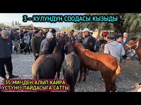 Видео: СИЗДЕР АЙТКАН ТАЙ БАЗАР / 15-СЕНТЯБРЬ 2024 ЖЫЛ