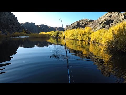 Видео: Рыбалка в каньонах. Красивый пейзаж. Крушение моего дрона)