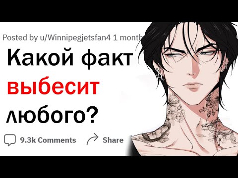 Видео: Какой факт может выбесить любого?
