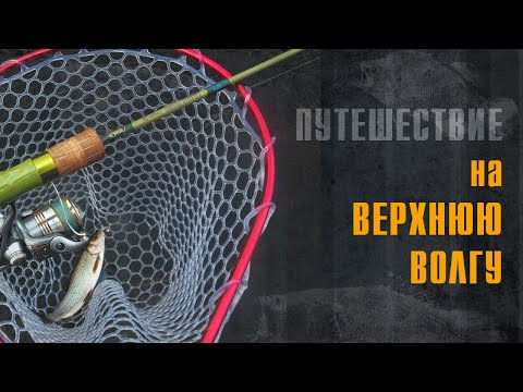 Видео: Ловля голавля и хариуса на Верхней Волге. Рыболовное путешествие с TrueFisher.