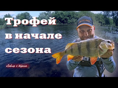 Видео: ТРОФЕЙ В НАЧАЛЕ СЕЗОНА. Спиннинг с берега с Иваном Кашициным