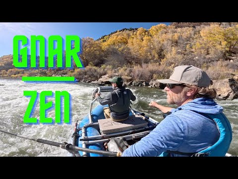 Видео: ГНАР и ДЗЕН жизни и рыбалки