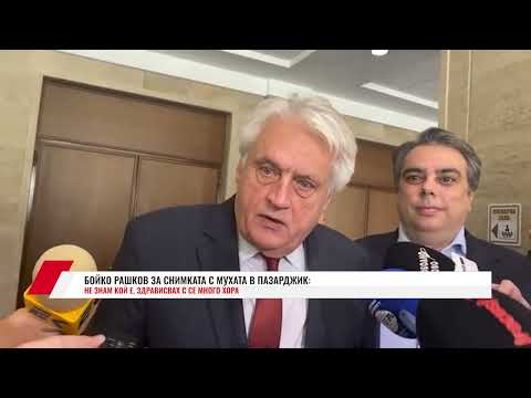 Видео: БОЙКО РАШКОВ ЗА СНИМКАТА С МУХАТА В ПАЗАРДЖИК: НЕ ЗНАМ КОЙ Е, ЗДРАВИСВАХ С СЕ МНОГО ХОРА