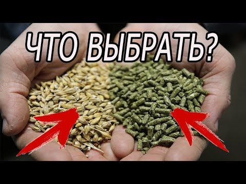 Видео: ЧЕМ КОРМИТЬ КРОЛИКОВ? МОЯ ЭВОЛЮЦИЯ В КОРМЛЕНИИ!