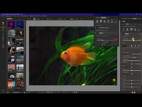 Видео: Продвинутое маскирование в программе «ON1 Photo RAW MAX 2026»  Что нового? Урок №2