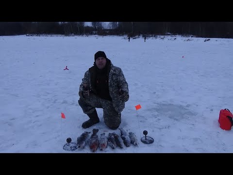 Видео: Зимняя форелевая рыбалка на живца.Ловим на жерлицы со льда в метель и мороз.