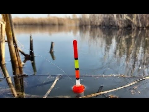 Видео: ПОПАЛ НА ЖОР ГИГАНСКИХ КАРАСЕЙ И ЛИНЕЙ.РЫБАЛКА НА ПОПЛАВОК В АВГУСТЕ