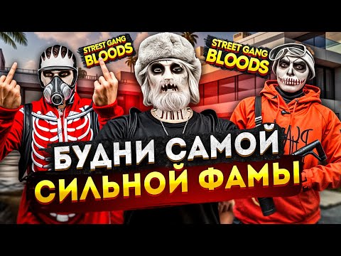 Видео: САМАЯ СИЛЬНАЯ СЕМЬЯ В GTA 5 PR (Majestic)