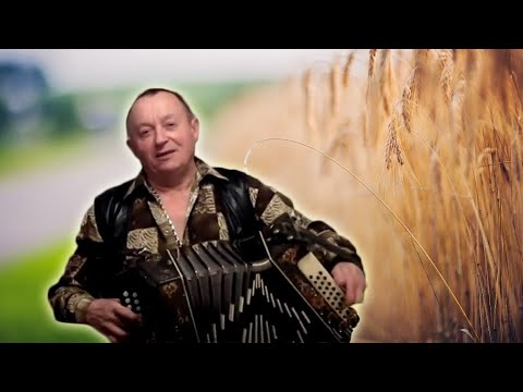 Видео: НЕХОРОШАЯ ❤️ Слезу вышибает эта песня под гармонь