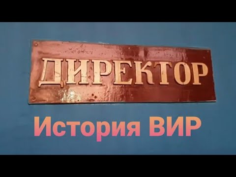 Видео: 95 лет ос ВИР 🌾#739