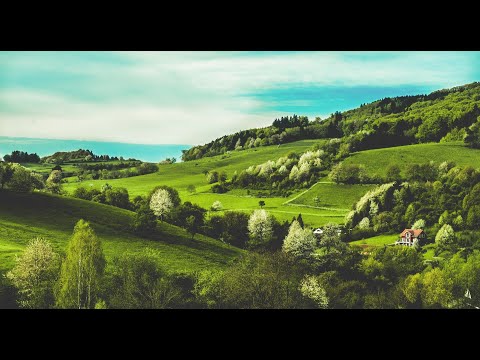 Видео: КТО ЗАВИДУЕТ ВАМ / КТО ЖЕЛАЕТ ЗЛА/  ОТ КОГО ИДЕТ НЕГАТИВ / В ЧЕМ ОПАСНОСТЬ. КОЛЕНА ТАРО