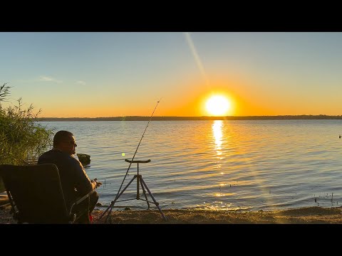 Видео: 🐠🐟 ЧЕРНЫЙ ЛЕС в НАЧАЛЕ ОСЕНИ / ФИДЕР / КУХНЯ на КОСТРЕ / УХА / ПЕЧЕНЕЖСКОЕ ВОДОХРАНИЛИЩЕ / 1 ЧАСТЬ🐠🐟