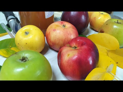 Видео: Как сделать яблочный уксус из яблочного сока?