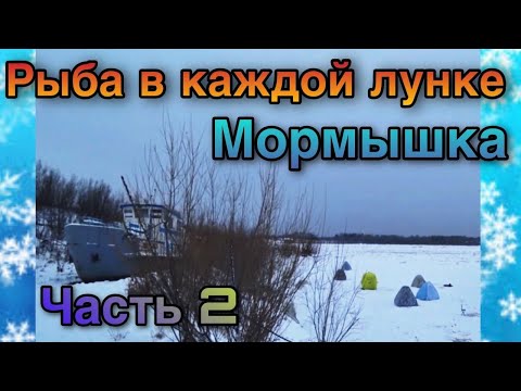 Видео: Рыба клюет как из пулемета.Мормышка. Часть2.