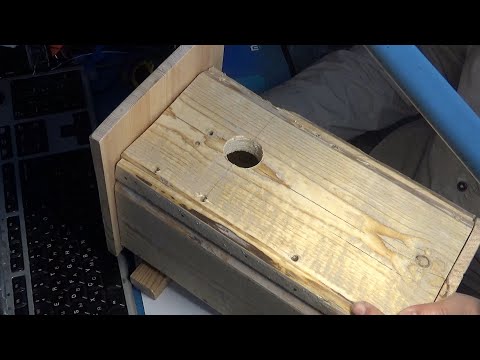 Видео: Синичник