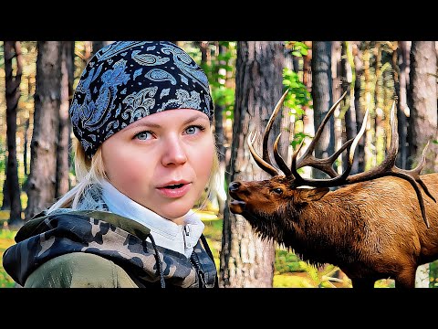 Видео: ЖИЗНЬ НА ХУТОРЕ ОСТАНОВИЛАСЬ 10 ЛЕТ НАЗАД. НАТКНУЛИСЬ НА ЛОСЯ. ДВА ГОДА В ОДНОМ МЕСТЕ.
