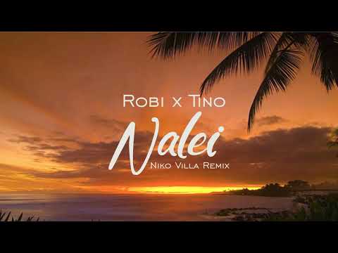 Видео: Robi x Tino - Nalei (Налей)  (Niko Villa Radio Remix) 2025