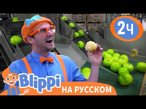 Видео: Как устроена Яблочная Фабрика🍎🍏 | Изучай этот мир вместе с Блиппи | Blippi Russian