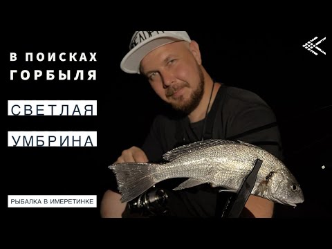 Видео: В поисках горбыля. Светлая умбрина или светлый горбыль. Рыбалка в имеретинке.