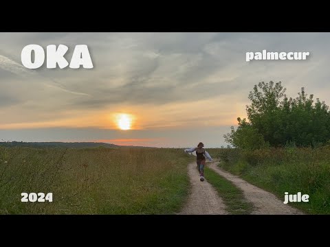 Видео: 22 | ОКА июль 2024