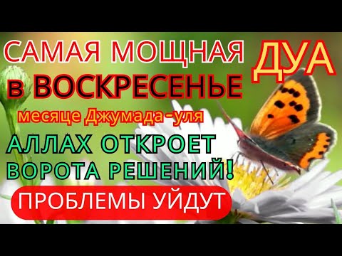 Видео: 💞САМАЯ СИЛЬНАЯ Дуа в ВОСКРЕСЕНЬЕ Все желания сбываются! #дуа 🤲🔑