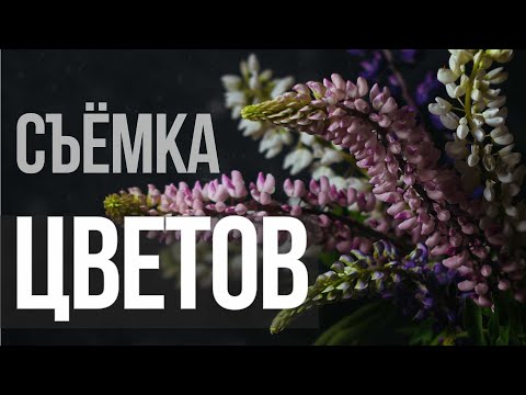 Видео: Фотосъемка и обработка цветов. Видеоурок
