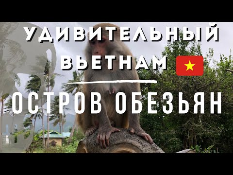 Видео: Остров диких обезьян. Вьетнам. Нячанг