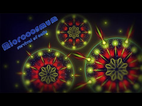 Видео: Microcosmum: Survival Of Cells #3 | Mutations - FULL WALKTHROUGH | Мутации - ПОЛНОЕ ПРОХОЖДЕНИЕ