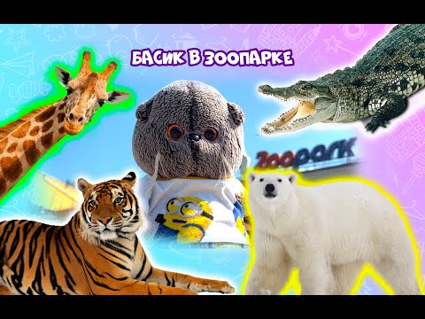 Видео: ЗООПАРК В САНКТ-ПЕТЕРБУРГЕ / БАСИК И ХОЗЯЙКИ В ЗООПАРКЕ / ZOO #басик #basik