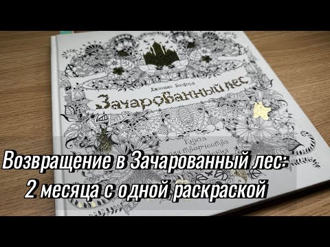 Видео: Возвращение в Зачарованный лес: 2 месяца с одной раскраской// 20 работ за 2 месяца!