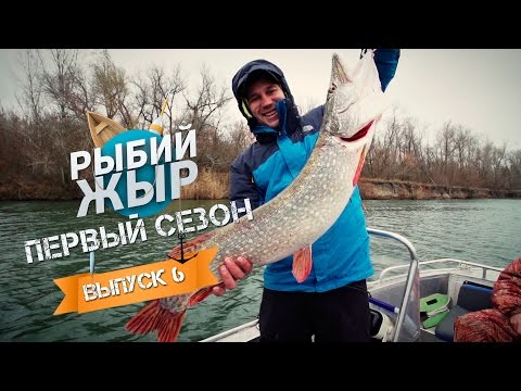 Видео: Ловля Донских трофеев на спиннинг в ноябре р. Дон- Рыбий Жыр (выпуск 6)