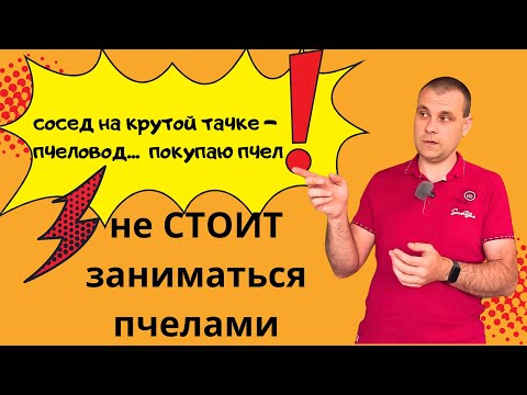 Видео: Почему не СТОИТ заниматься пчелами  Ответы на многие вопросы