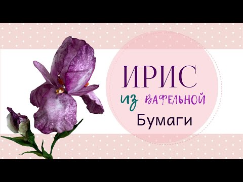 Видео: Ирис из вафельной бумаги.МК