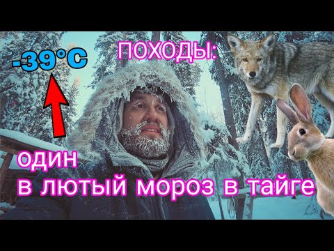 Видео: ПОХОДЫ: один в тайге на грани обморожения. Лютый мороз -39°C