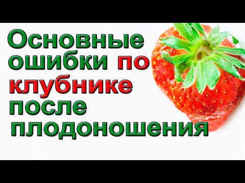 Видео: Почему плохой урожай клубники. Уход за клубникой в июле