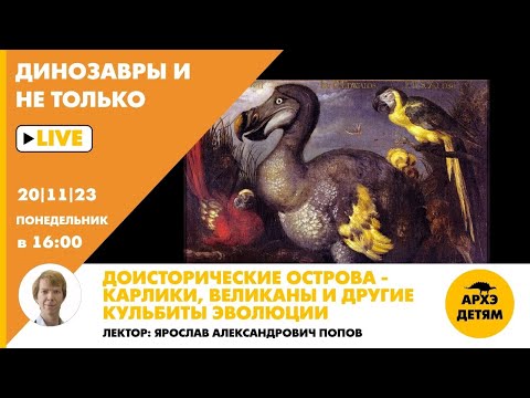 Видео: Занятие "Доисторические острова — карлики, великаны и другие кульбиты эволюции" с Ярославом Поповым