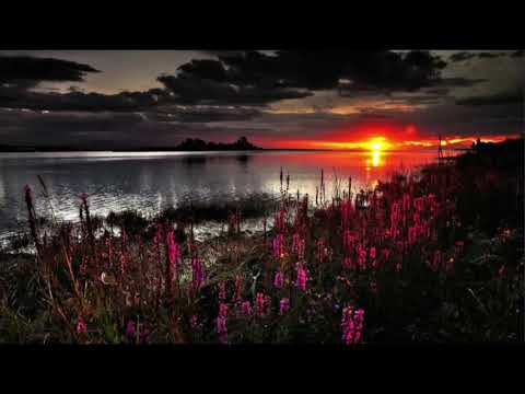 Видео: Духовная практика и сопротивление 1.  Экхарт Толле.