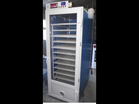 Видео: Ультразвуковой увлажнитель в инкубаторе на 1950 яиц.