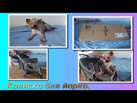Видео: Зачем нужна коляска для животных, Обзор на коляску.