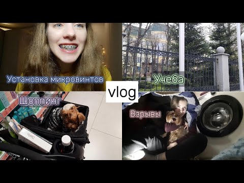 Видео: Мой опыт установки МИКРОВИНТОВ | Мои мучения после | День в универе и ШОППИНГ с собакой